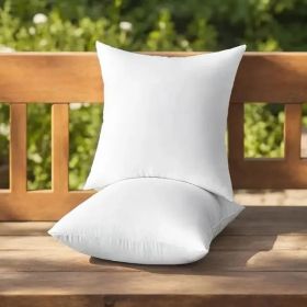 Throw Pillows, 2pack (Option: 20)